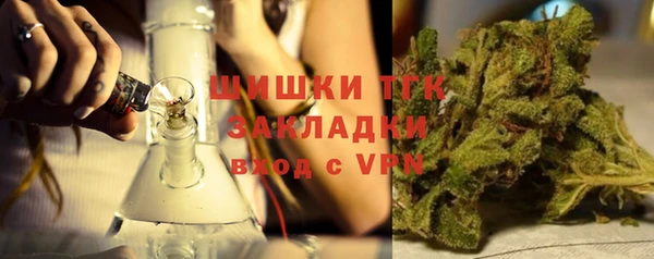 ГАЛЛЮЦИНОГЕННЫЕ ГРИБЫ Абаза