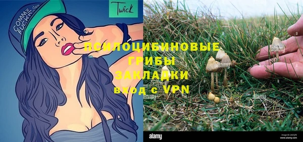 ГАЛЛЮЦИНОГЕННЫЕ ГРИБЫ Абаза