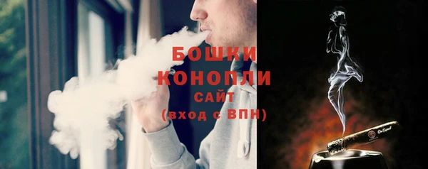 шишки Россошь
