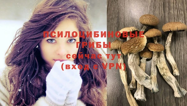 крисы Алексин