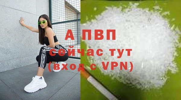 крисы Алексин