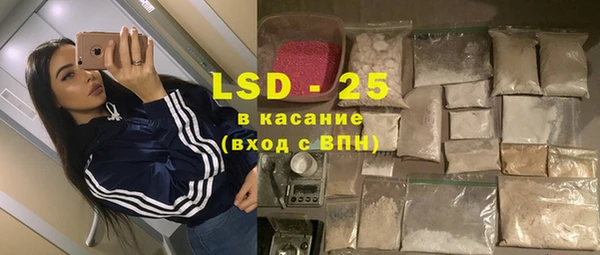 ГАЛЛЮЦИНОГЕННЫЕ ГРИБЫ Абаза