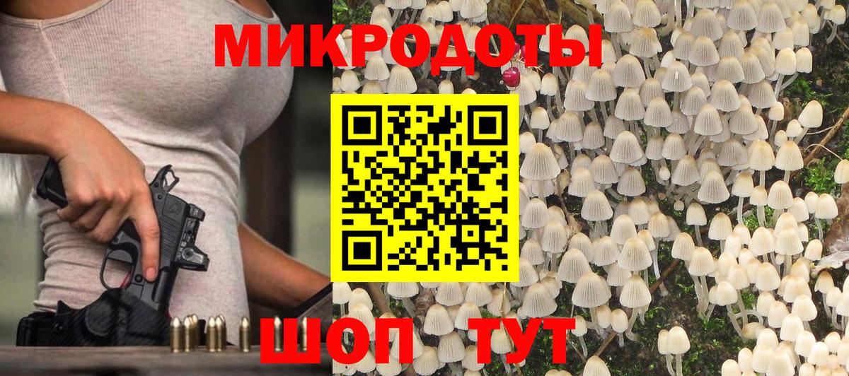 Галлюциногенные грибы Magic Shrooms Тавда