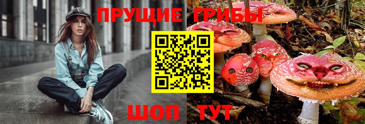 Псилоцибиновые грибы MAGIC MUSHROOMS  Вход с VPN  Тавда  Галлюциногенные грибы мухоморы 